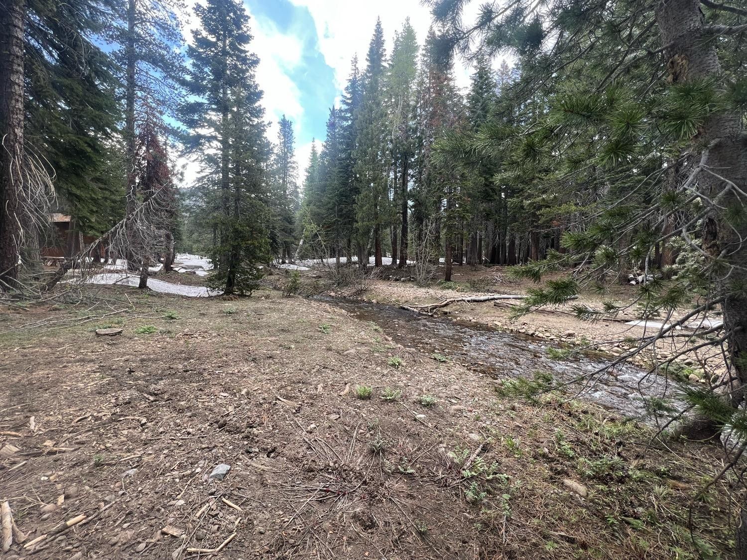 Bear Valley, Alpine County, CA Farms and Ranches, Homesites for sale