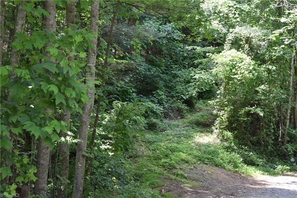 Cana, Carroll County, VA Undeveloped Land for sale Property ID