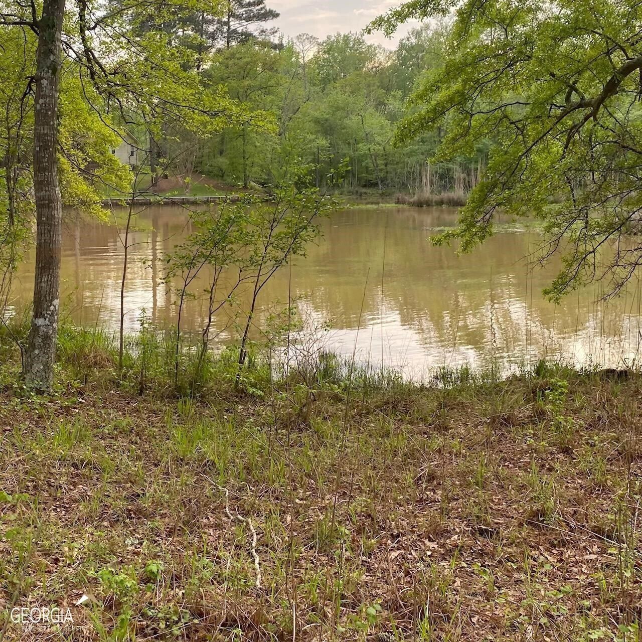 Eatonton, Putnam County, GA Undeveloped Land, Lakefront Property