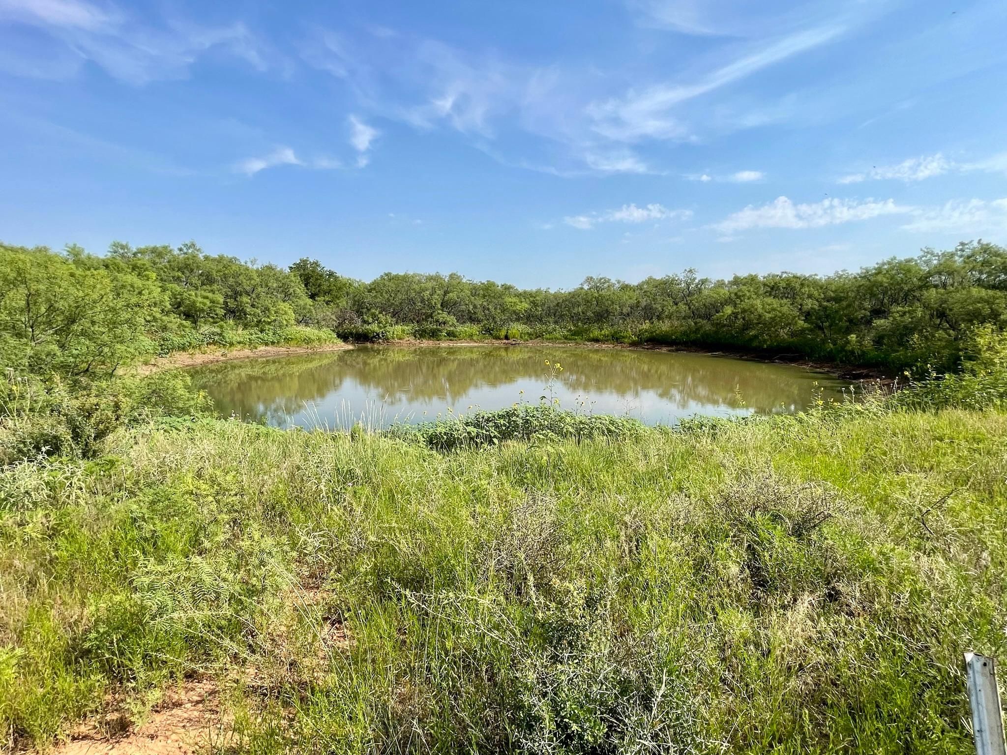 Bronte, Coke County, TX Farms and Ranches, Recreational Property for