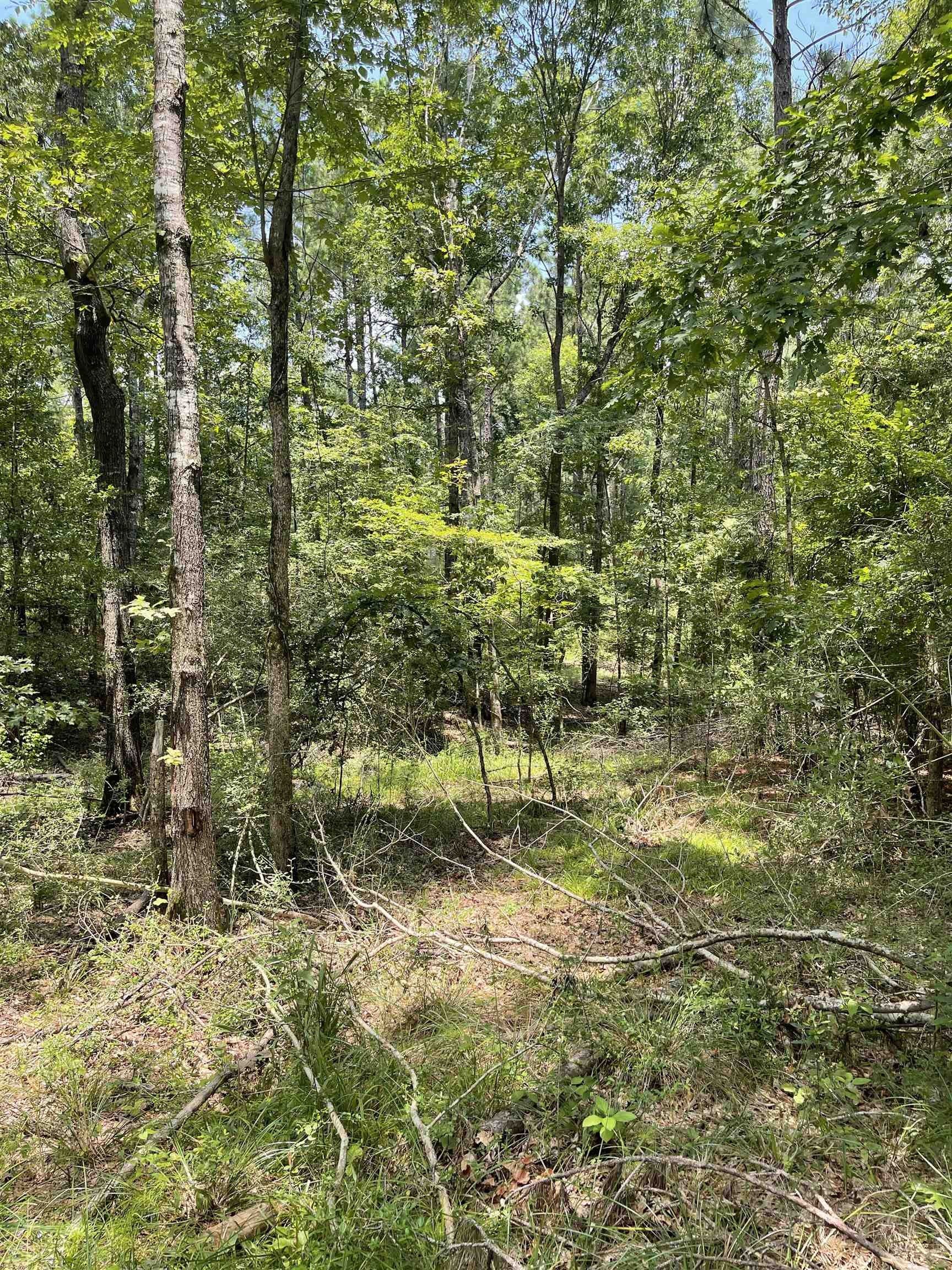 Brookeland, Jasper County, TX Farms and Ranches, Homesites for sale