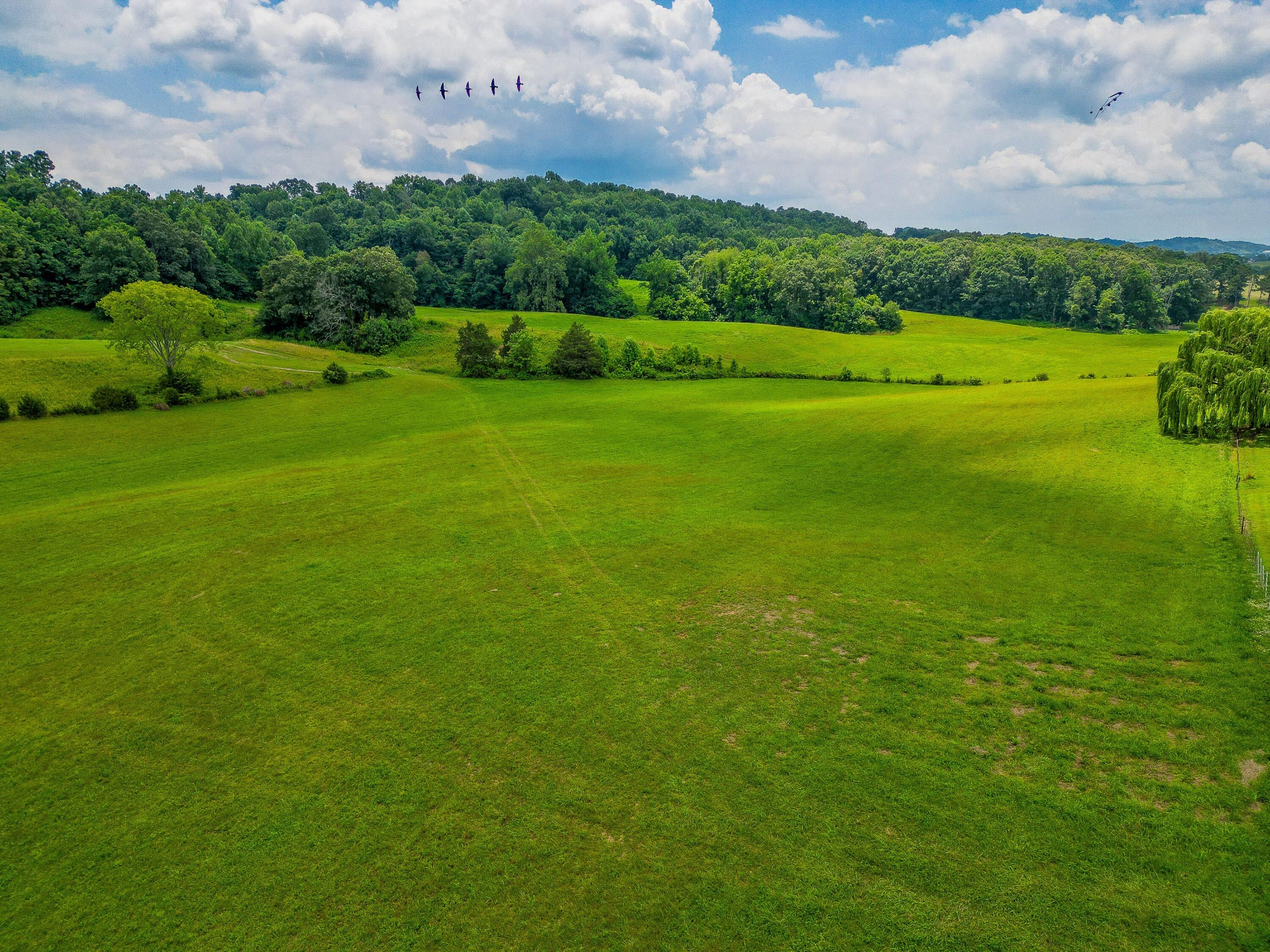 Afton, Greene County, TN Undeveloped Land for sale Property ID