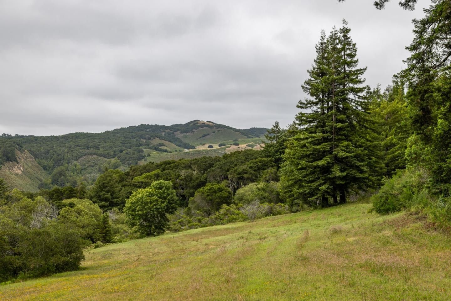 Carmel Highlands, Monterey County, CA Undeveloped Land for sale