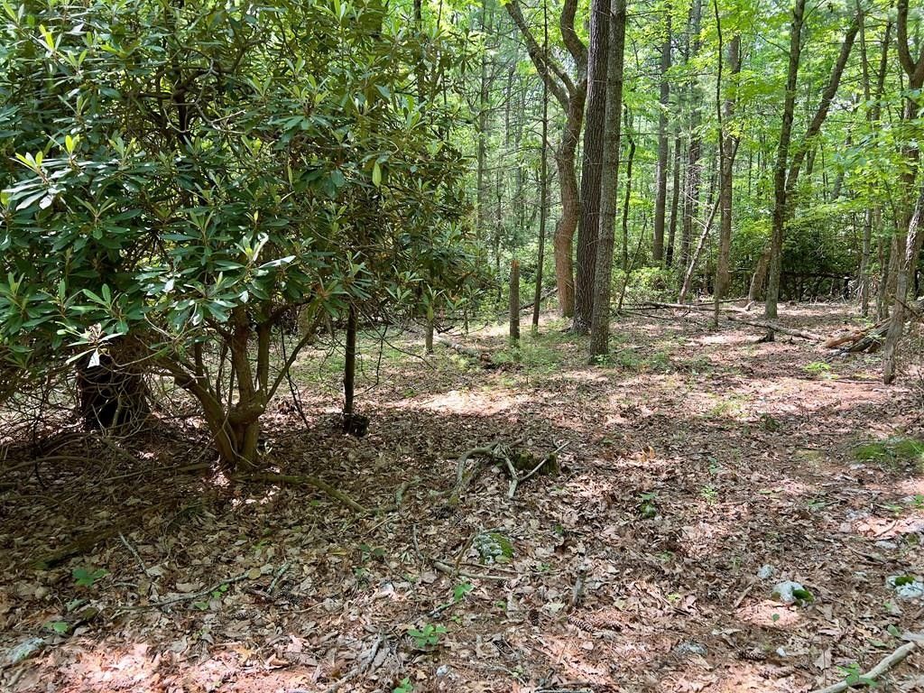 Hillsville, Carroll County, VA Farms and Ranches, Lakefront Property