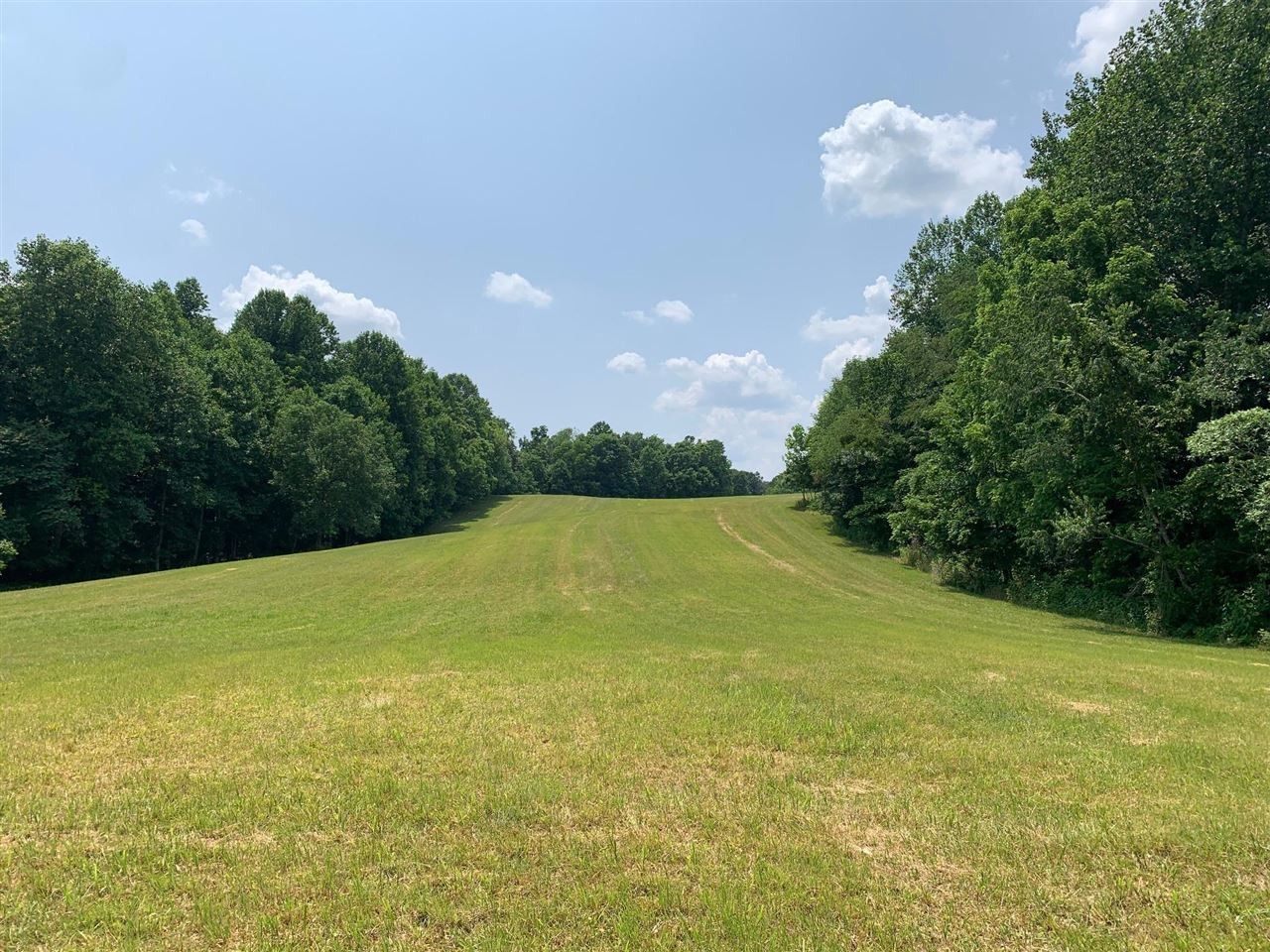 Knob Lick, Metcalfe County, KY Farms and Ranches for sale Property ID