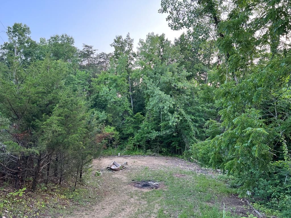 Sevierville, Sevier County, TN Farms and Ranches, Homesites for sale