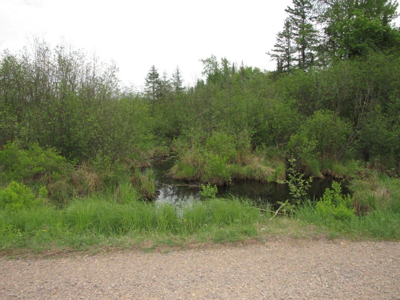 Ogema, Price County, WI Farms and Ranches, Lakefront Property