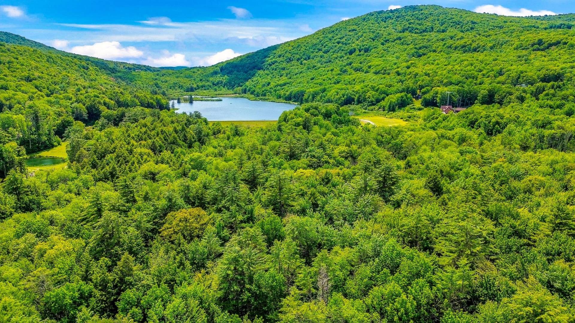 Jefferson, Schoharie County, NY Undeveloped Land, Lakefront Property