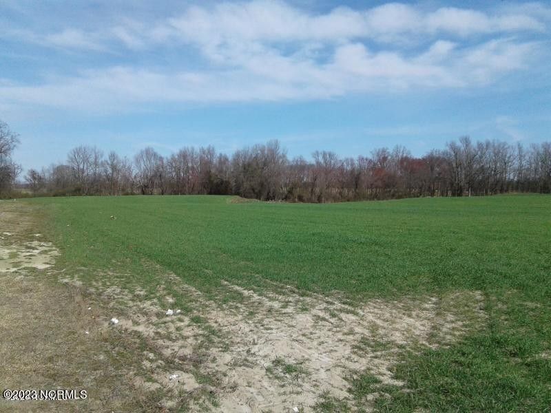 Stantonsburg, Greene County, NC Undeveloped Land for sale Property ID