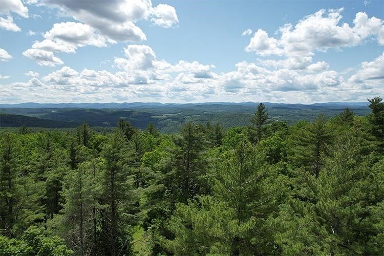 Brookfield, Orange County, VT Farms and Ranches for sale Property ID