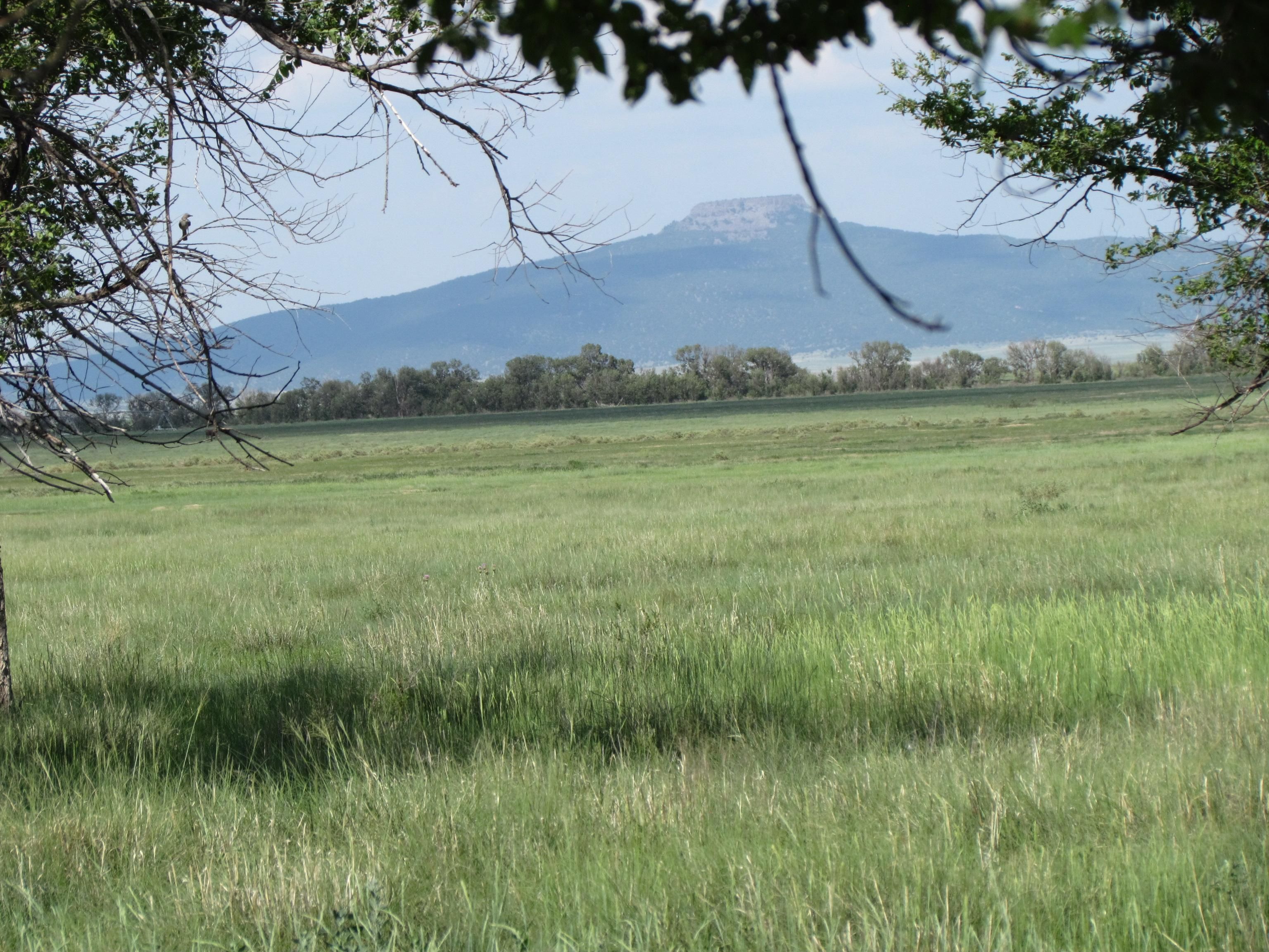 Maxwell, Colfax County, NM Farms and Ranches, Horse Property for sale