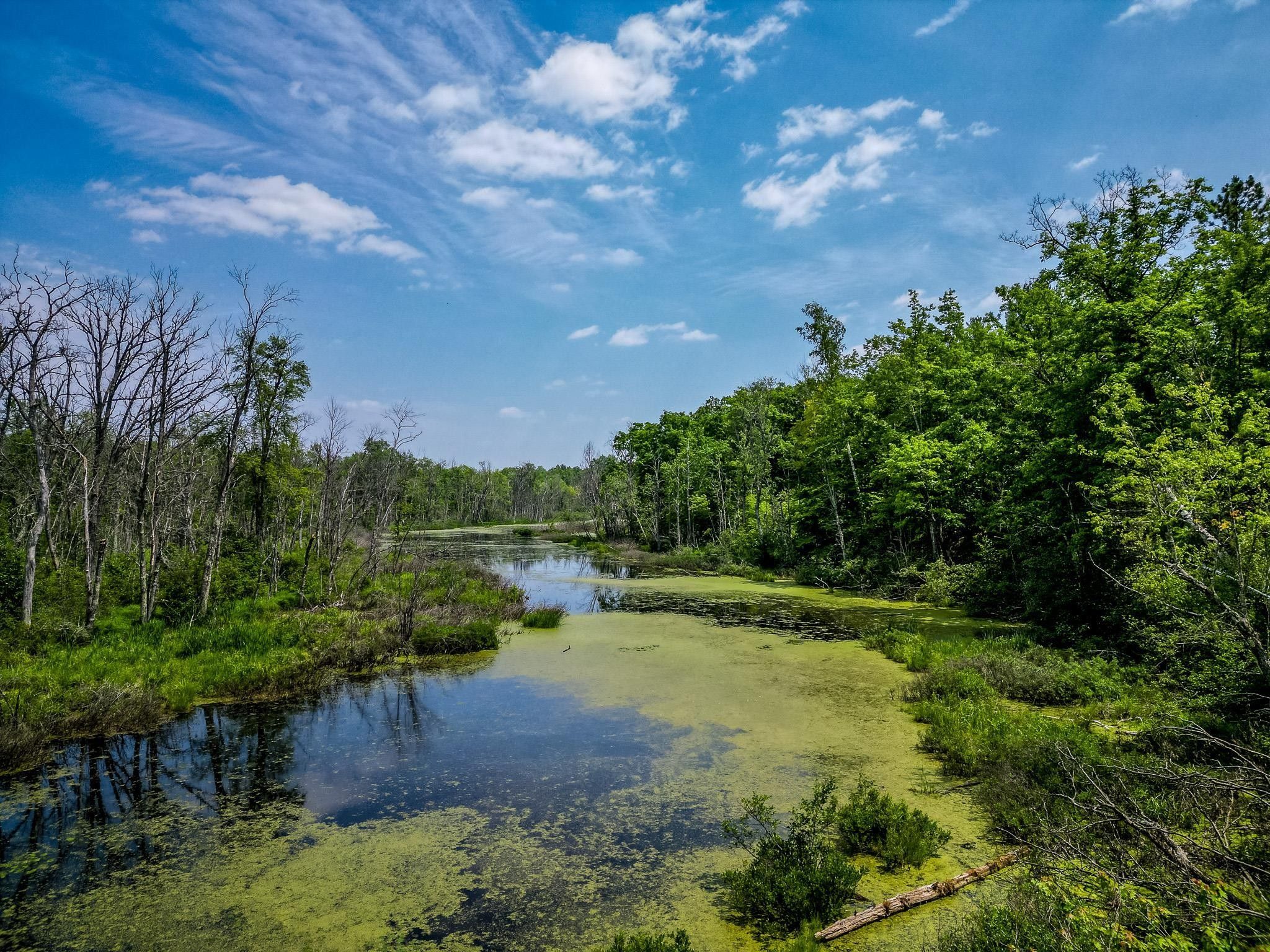 Marion, Osceola County, MI Lakefront Property, Waterfront Property
