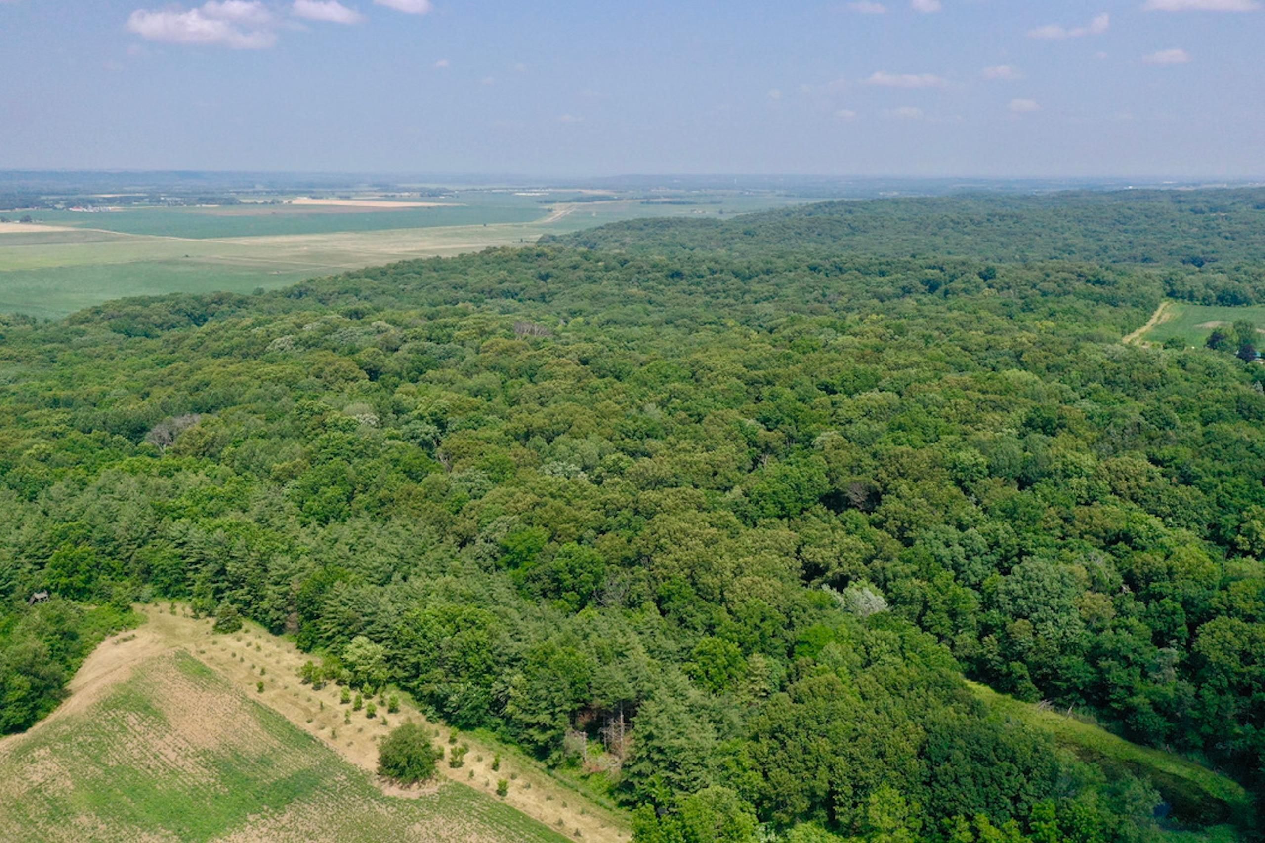 Thomson, Carroll County, IL Recreational Property, Hunting Property for