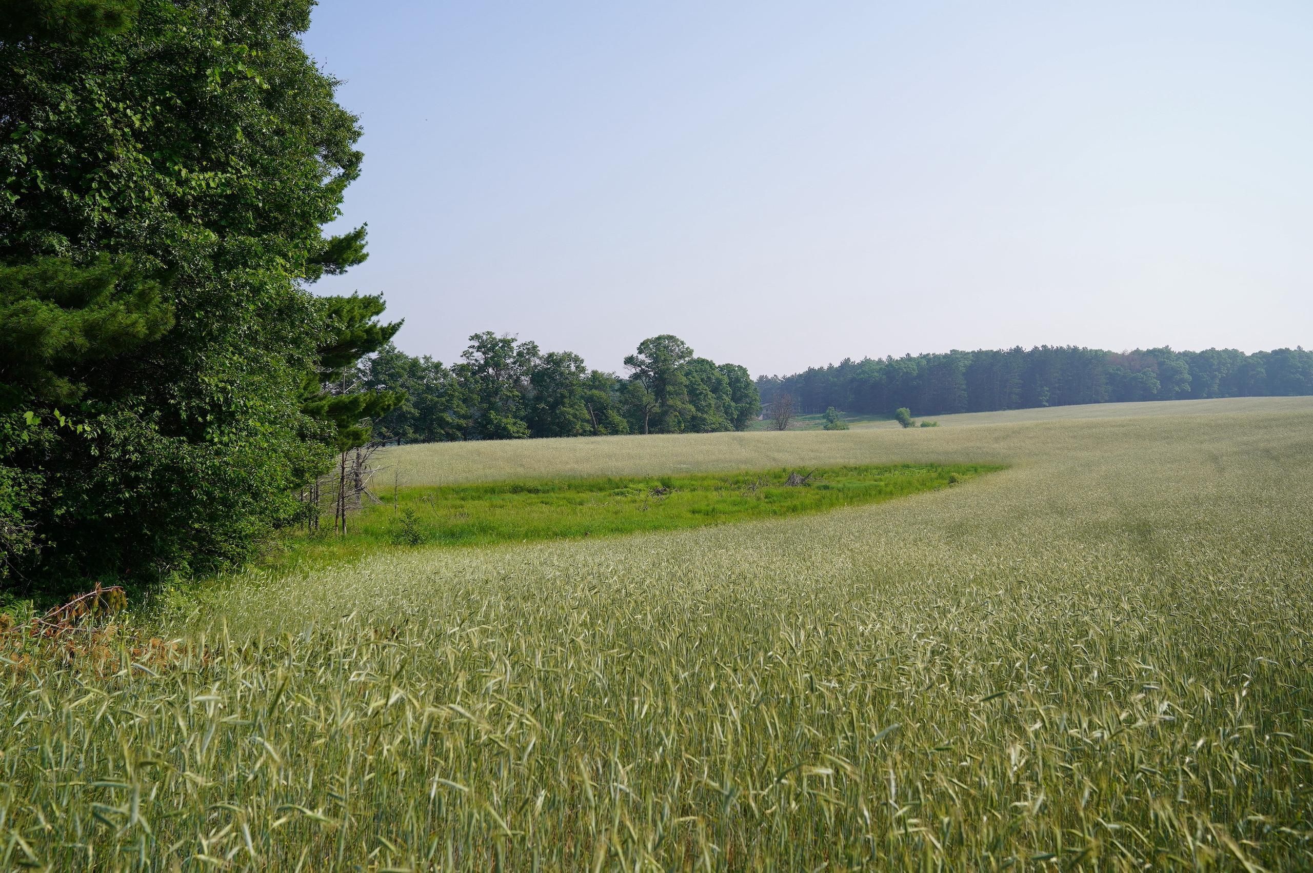 Spooner, County, WI Recreational Property, Hunting Property