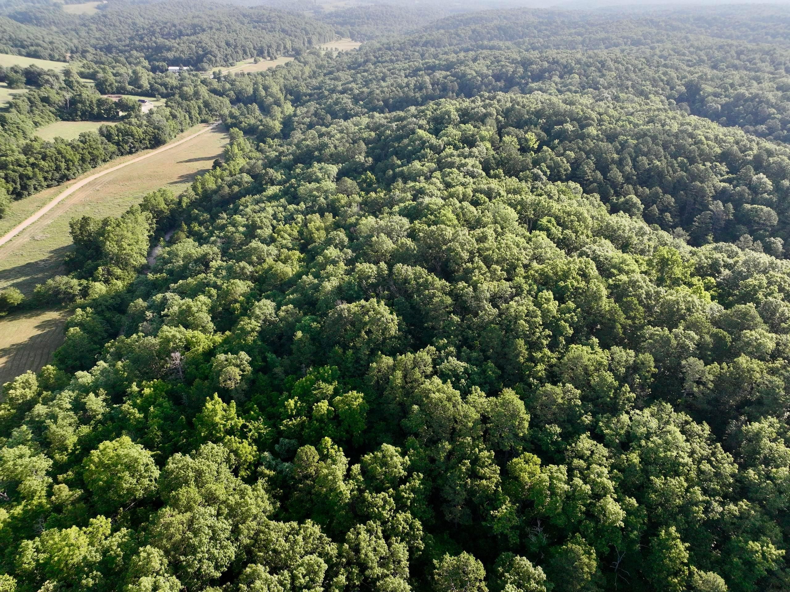 Anderson, McDonald County, MO Timberland Property, Undeveloped Land