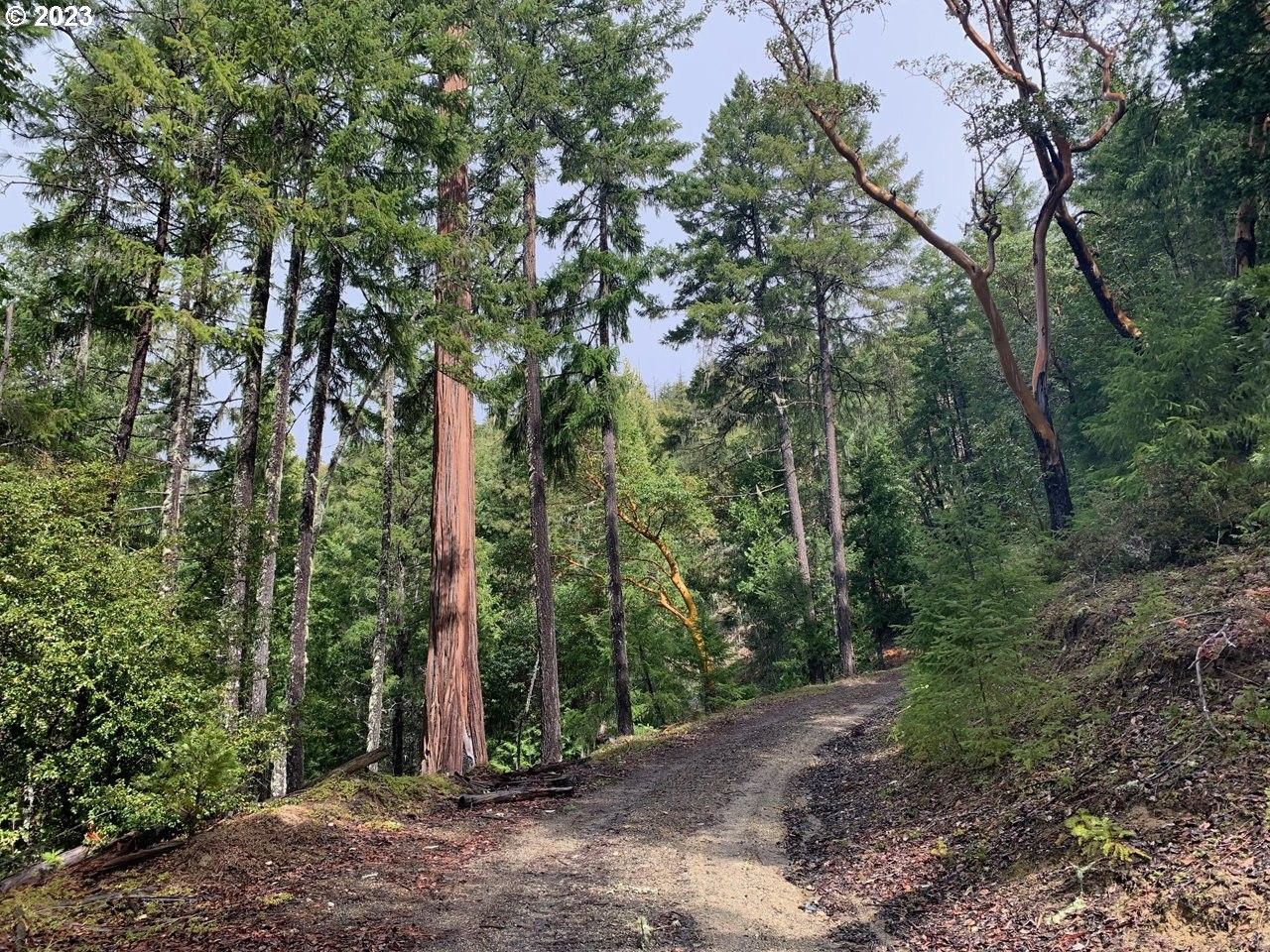 Azalea, Douglas County, OR Undeveloped Land for sale Property ID