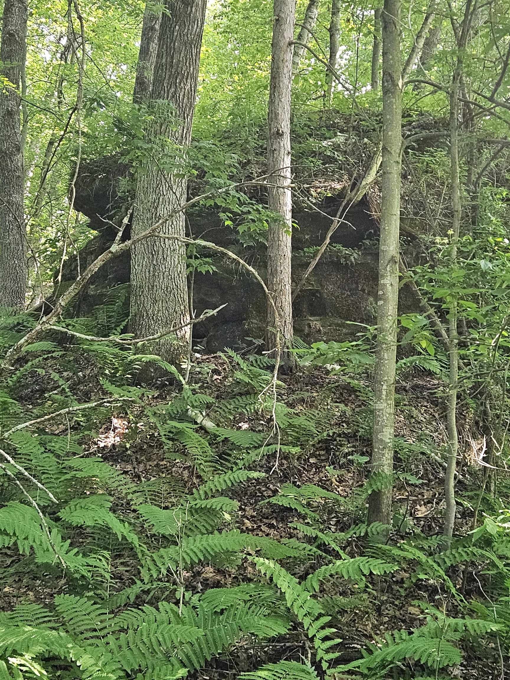 Kendall, Monroe County, WI Undeveloped Land for sale Property ID