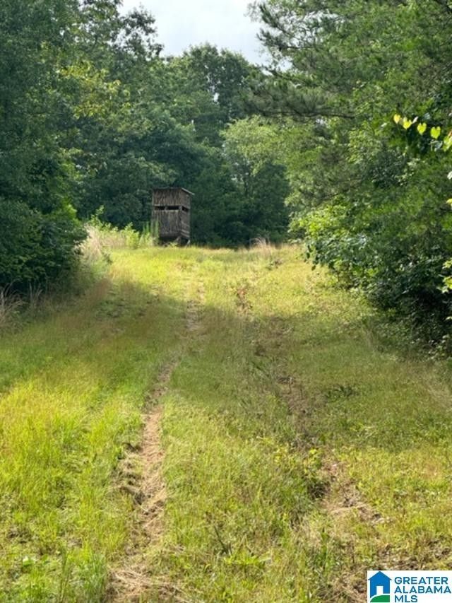 Hayden, Blount County, AL Undeveloped Land for sale Property ID