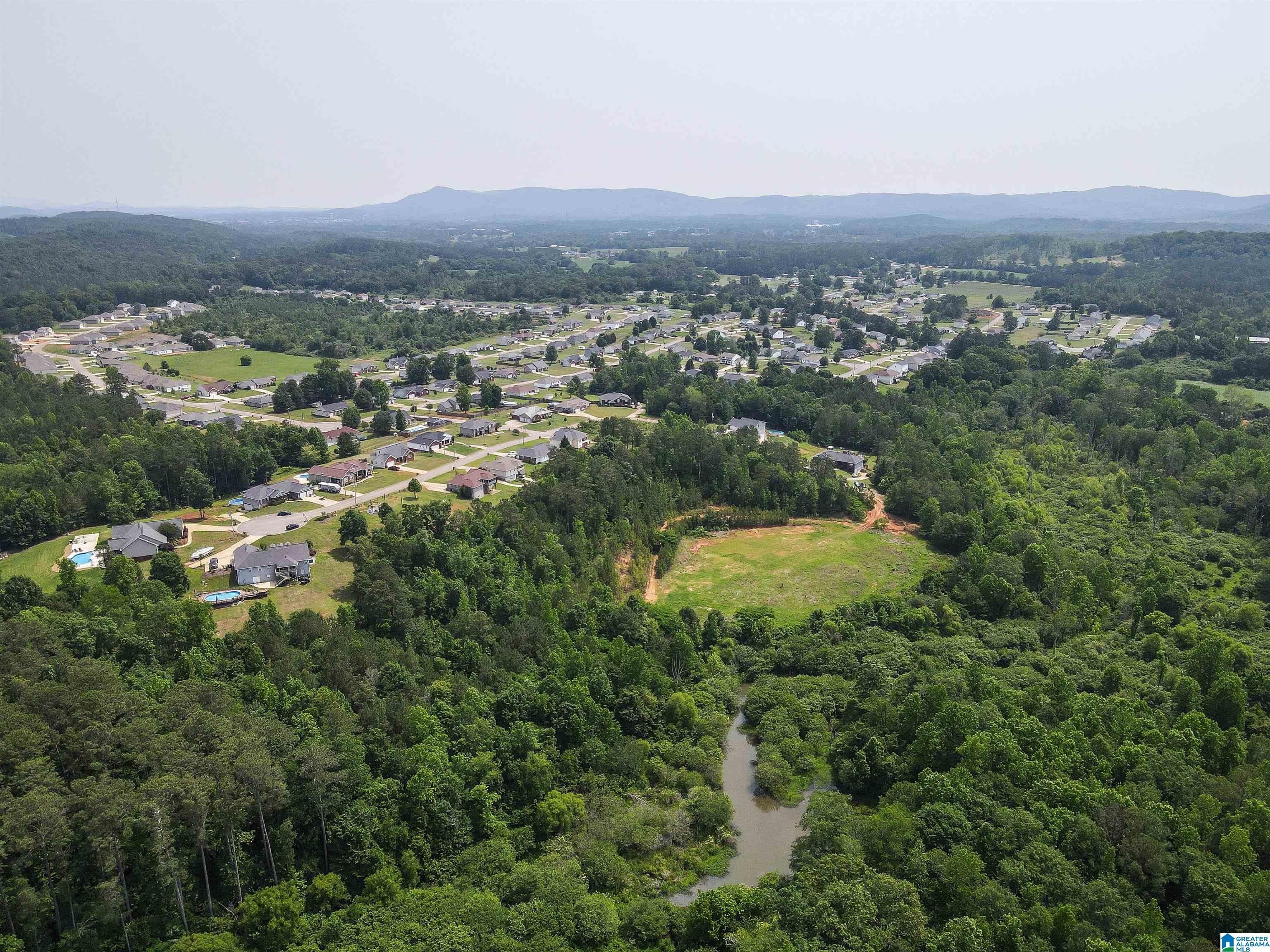 Weaver, Calhoun County, AL Undeveloped Land for sale Property ID