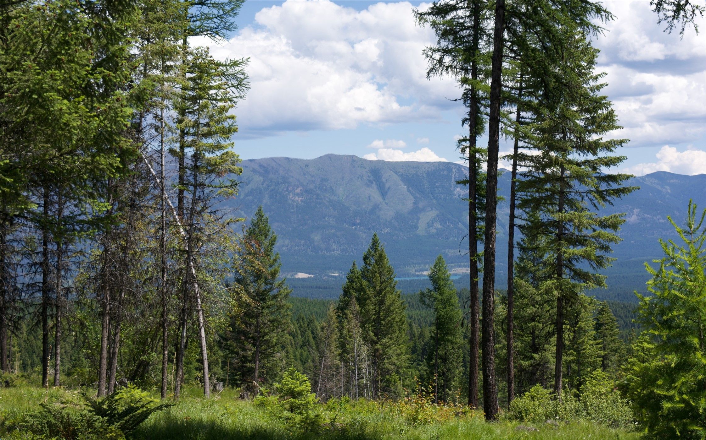 Trego, Lincoln County, MT House for sale Property ID 416788207 LandWatch