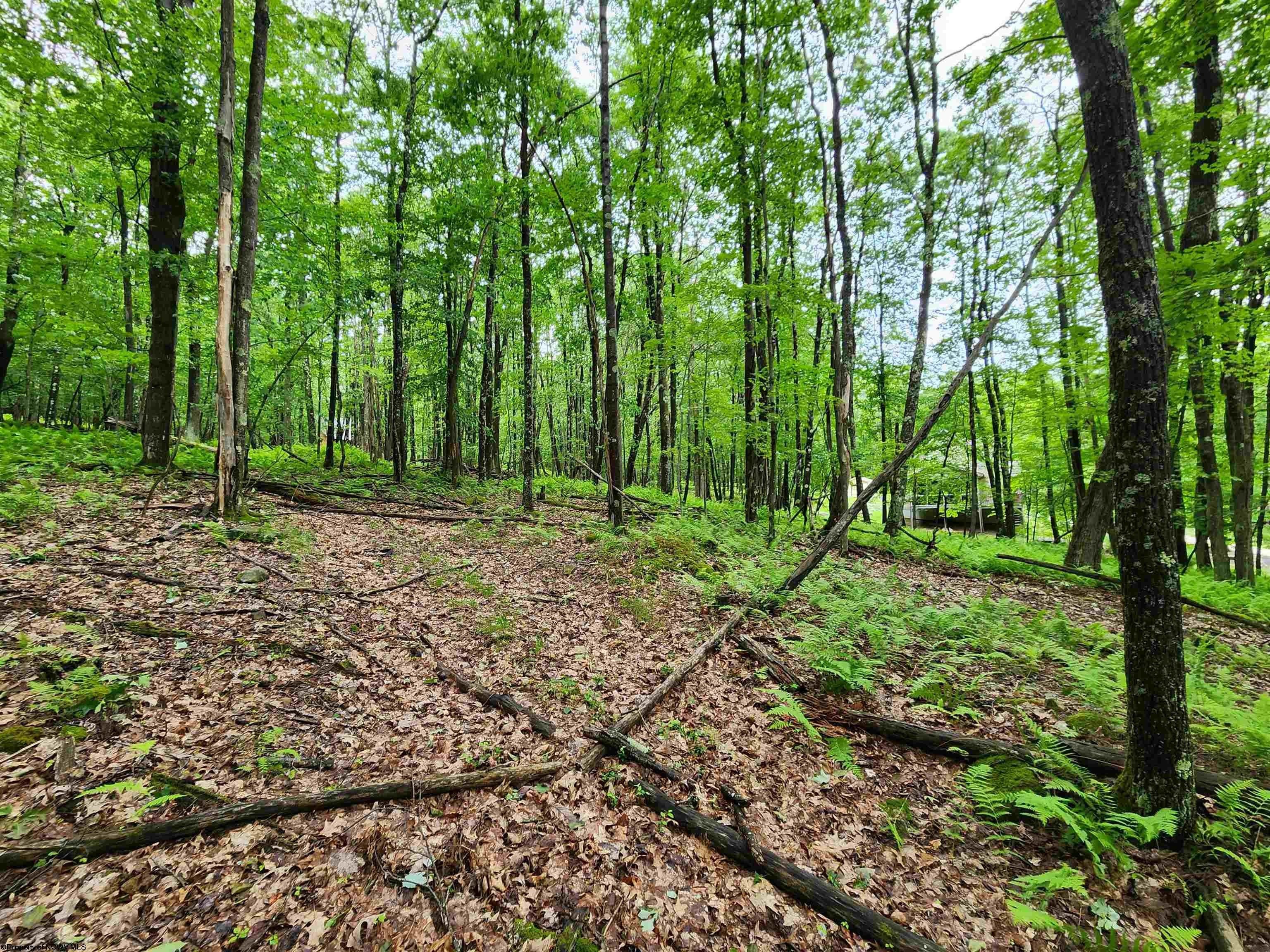 Terra Alta, Preston County, WV Farms and Ranches, Homesites for sale Property ID 416788265