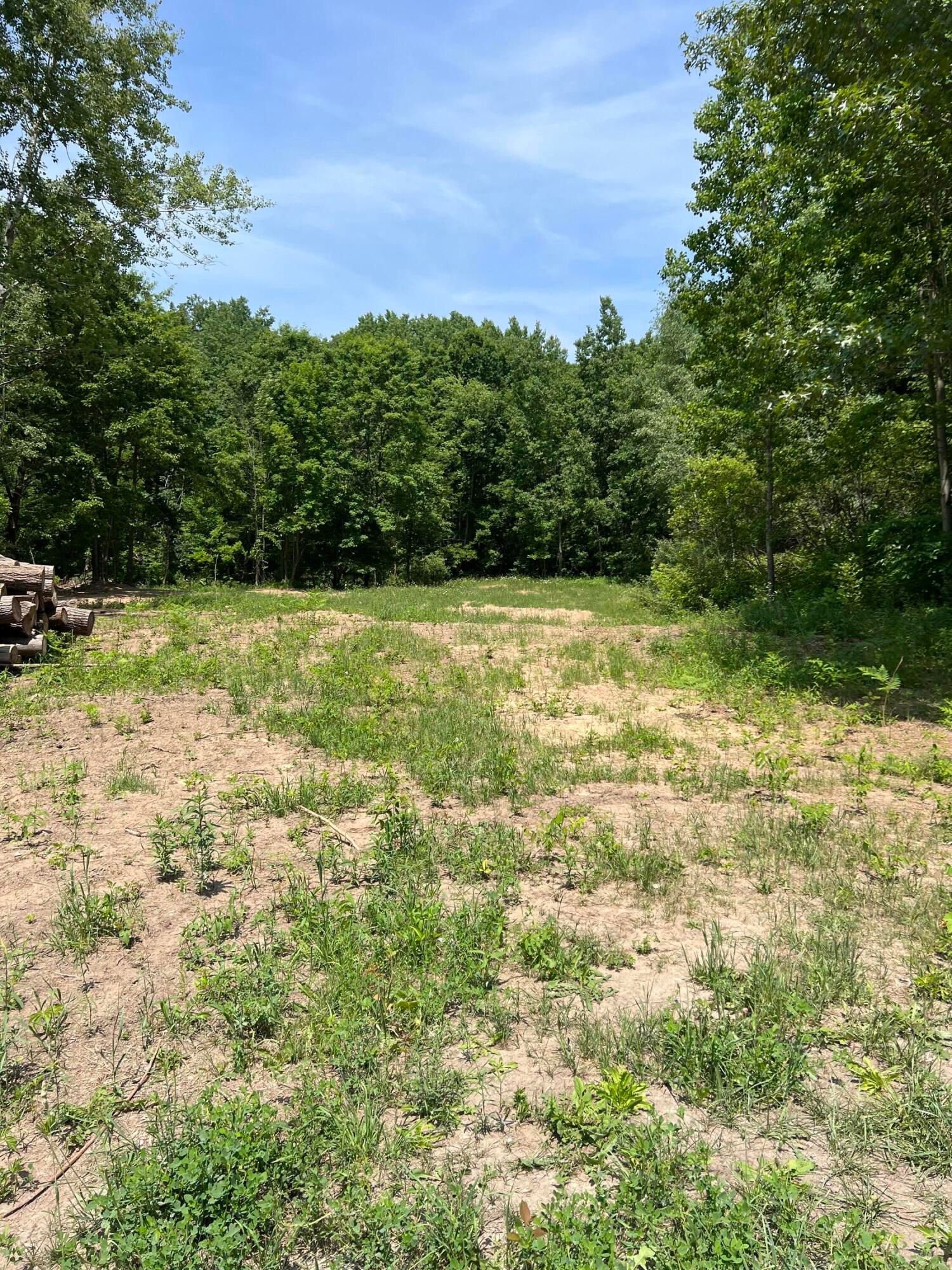 Pierson, Montcalm County, MI Undeveloped Land for sale Property ID