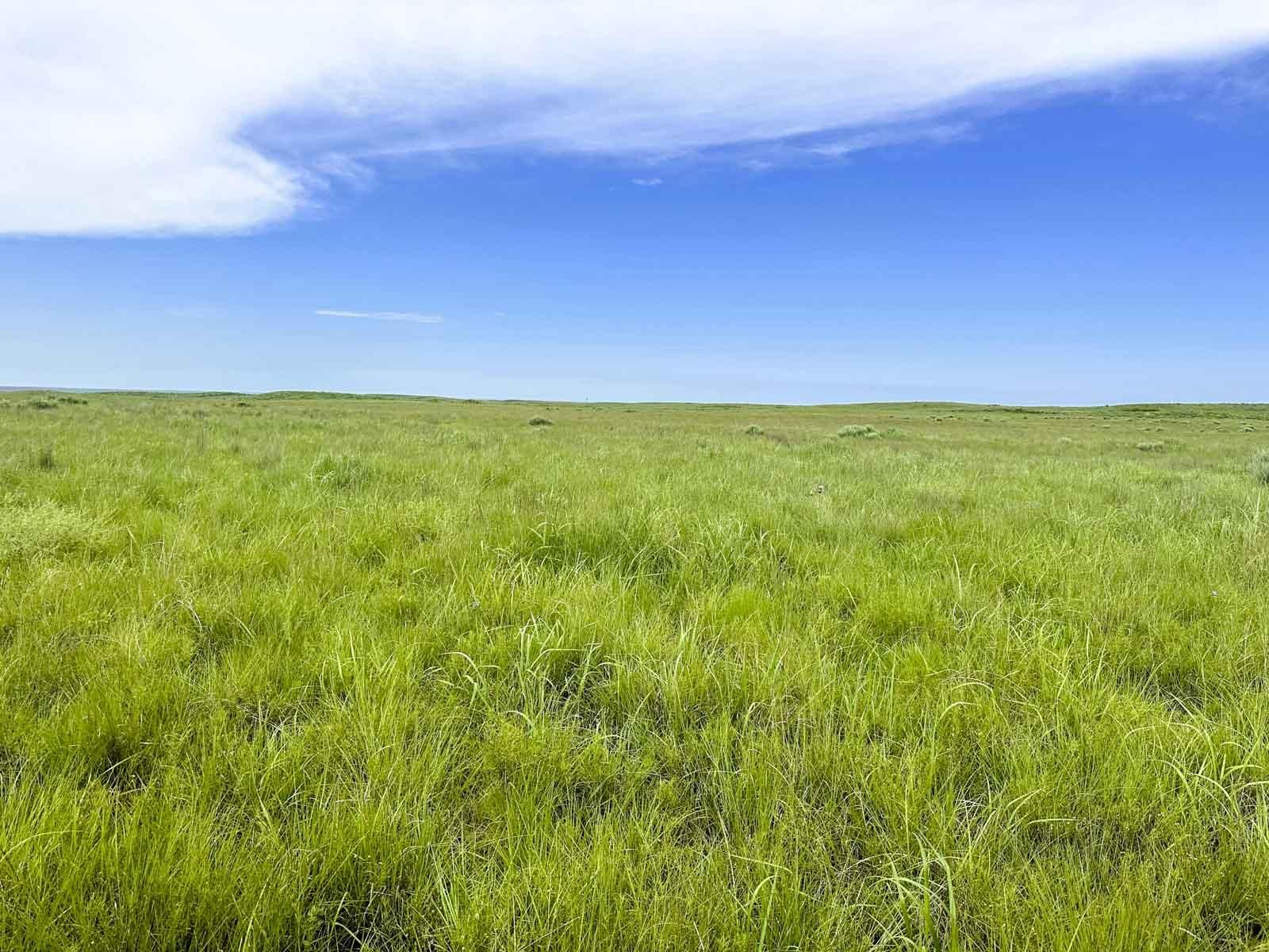 Gate, Beaver County, OK Farms and Ranches, Hunting Property for sale