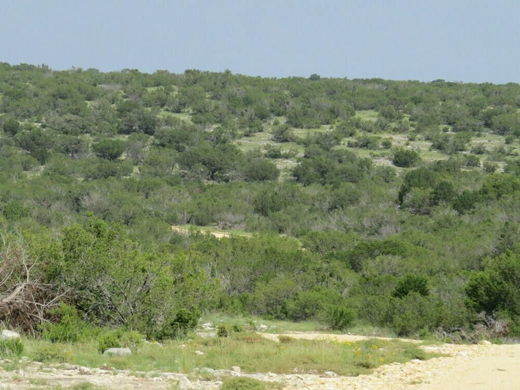 Juno, Val Verde County, TX Farms and Ranches, Hunting Property for sale Property ID 416789529