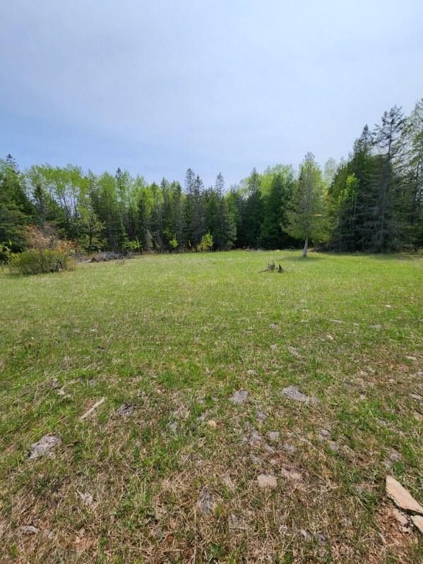 Posen, Presque Isle County, MI Undeveloped Land for sale Property ID