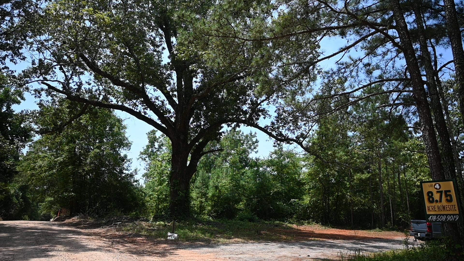 Barnesville, Lamar County, GA Recreational Property, Hunting Property