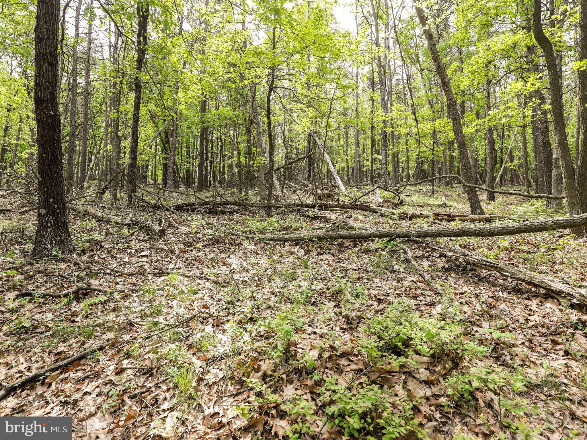 Capon Bridge, Hampshire County, WV Undeveloped Land for sale Property