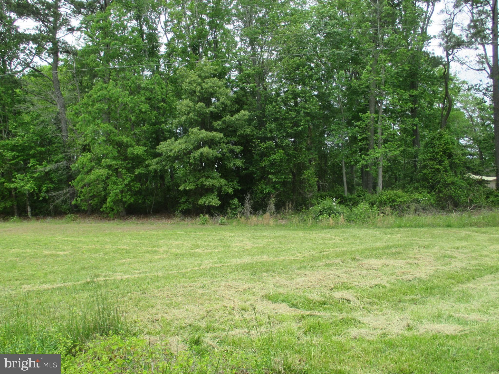 Frankford, Sussex County, DE Undeveloped Land, Homesites for sale