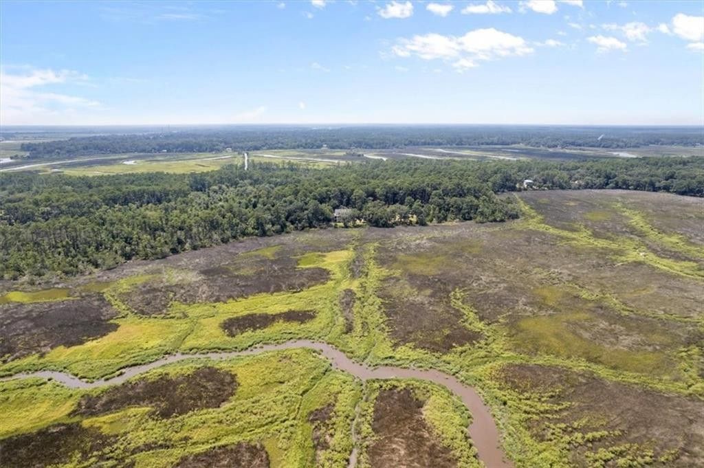 Darien, McIntosh County, GA Farms and Ranches, Lakefront Property