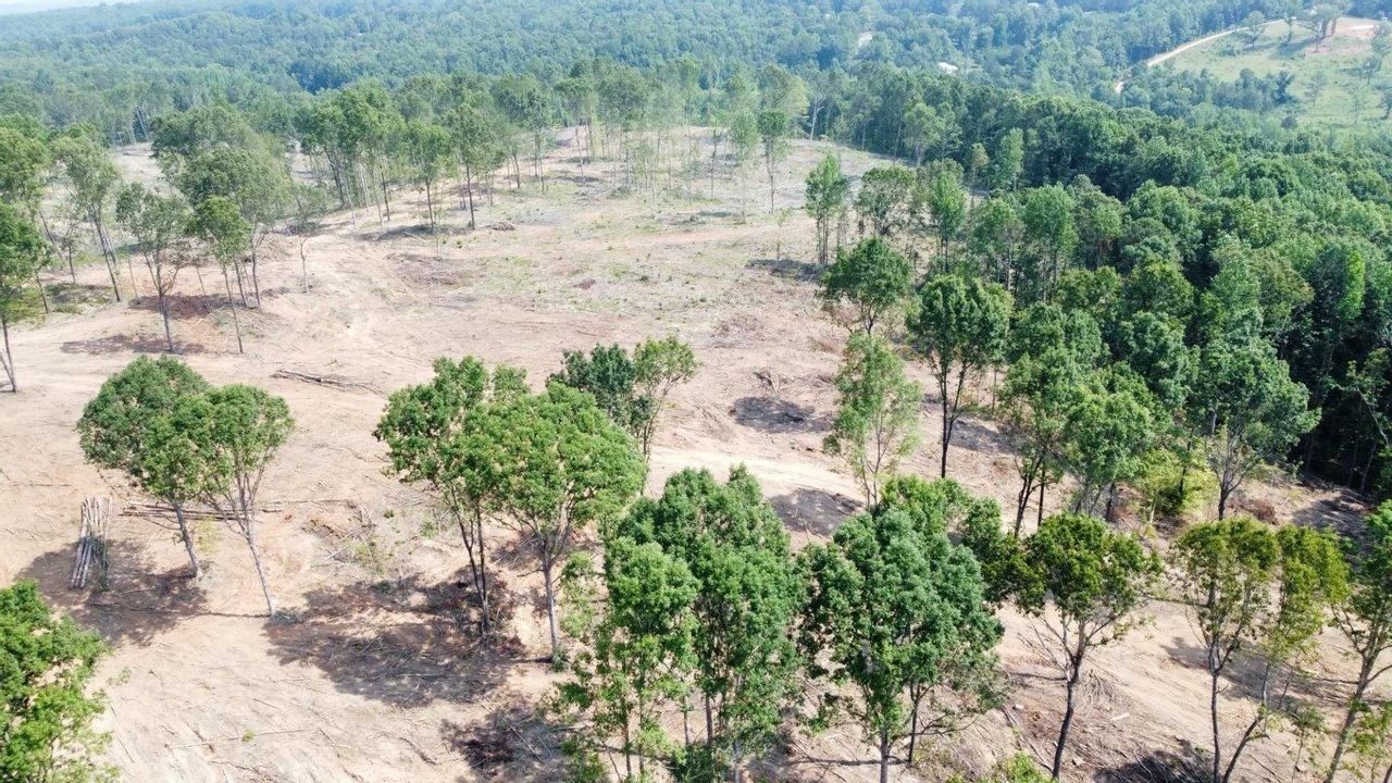 Russellville, Franklin County, AL Farms and Ranches, Recreational Property, Hunting Property for