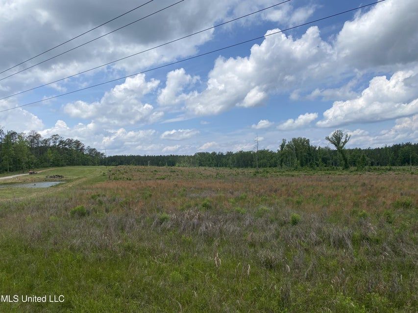 Lena, Rankin County, MS Undeveloped Land for sale Property ID