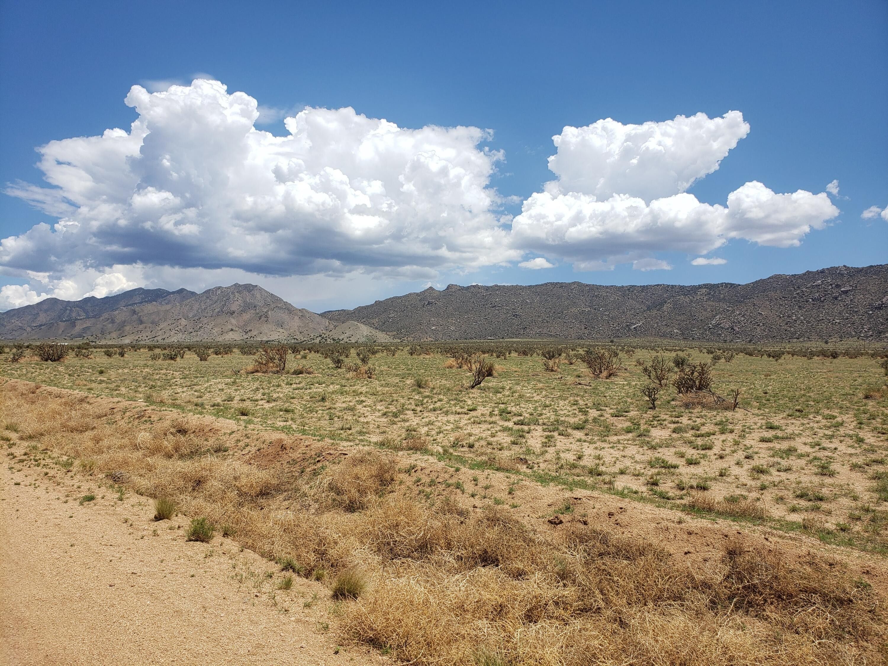Belen, Valencia County, NM Undeveloped Land for sale Property ID