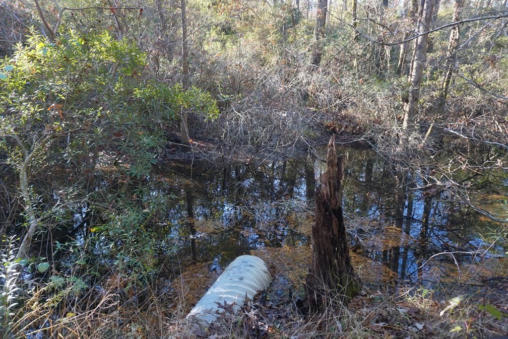 30 acres in Oakwood, TX, 75855 LandWatch