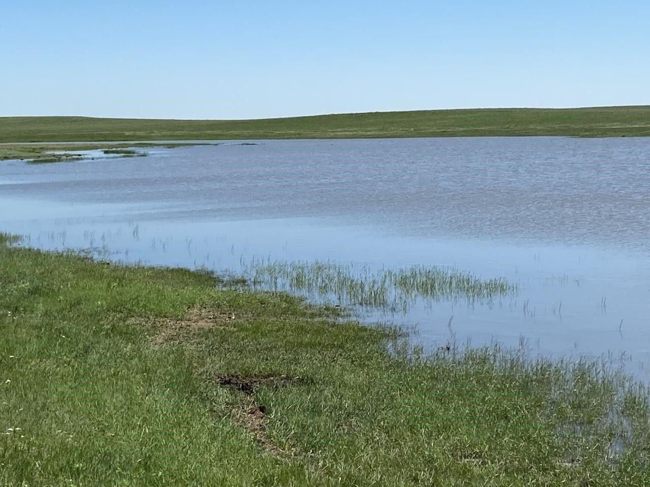 xxx Highway 79, Newell, SD 57760 MLS 76771 LandWatch