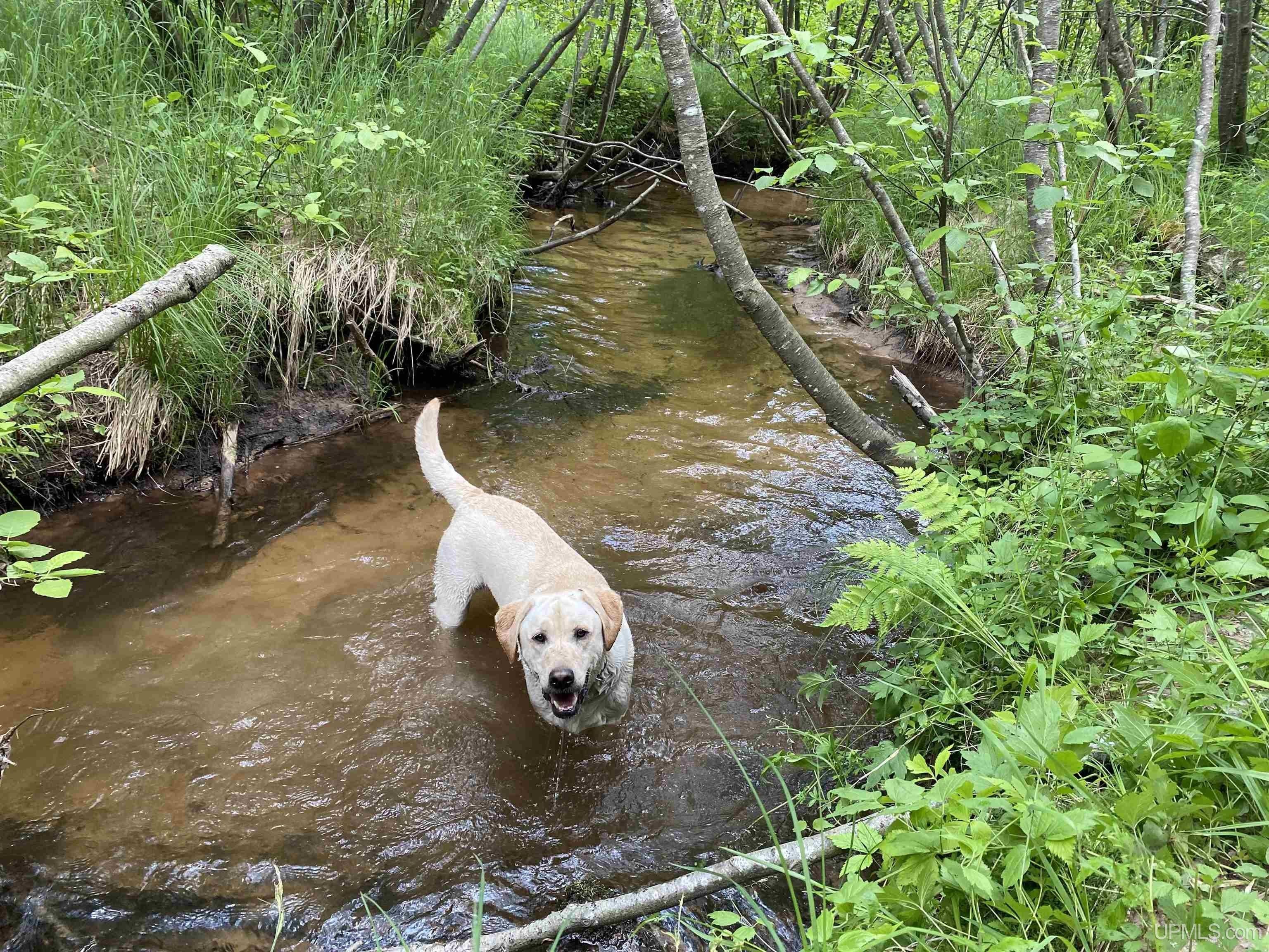 Big Bay, Marquette County, MI Undeveloped Land, Lakefront Property
