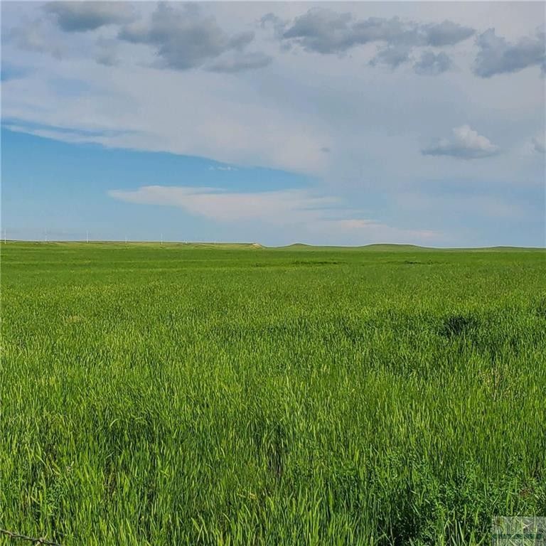 Roundup, Musselshell County, MT Farms and Ranches for sale Property ID