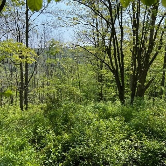 Wellsboro, Tioga County, PA Undeveloped Land for sale Property ID 416796058 LandWatch