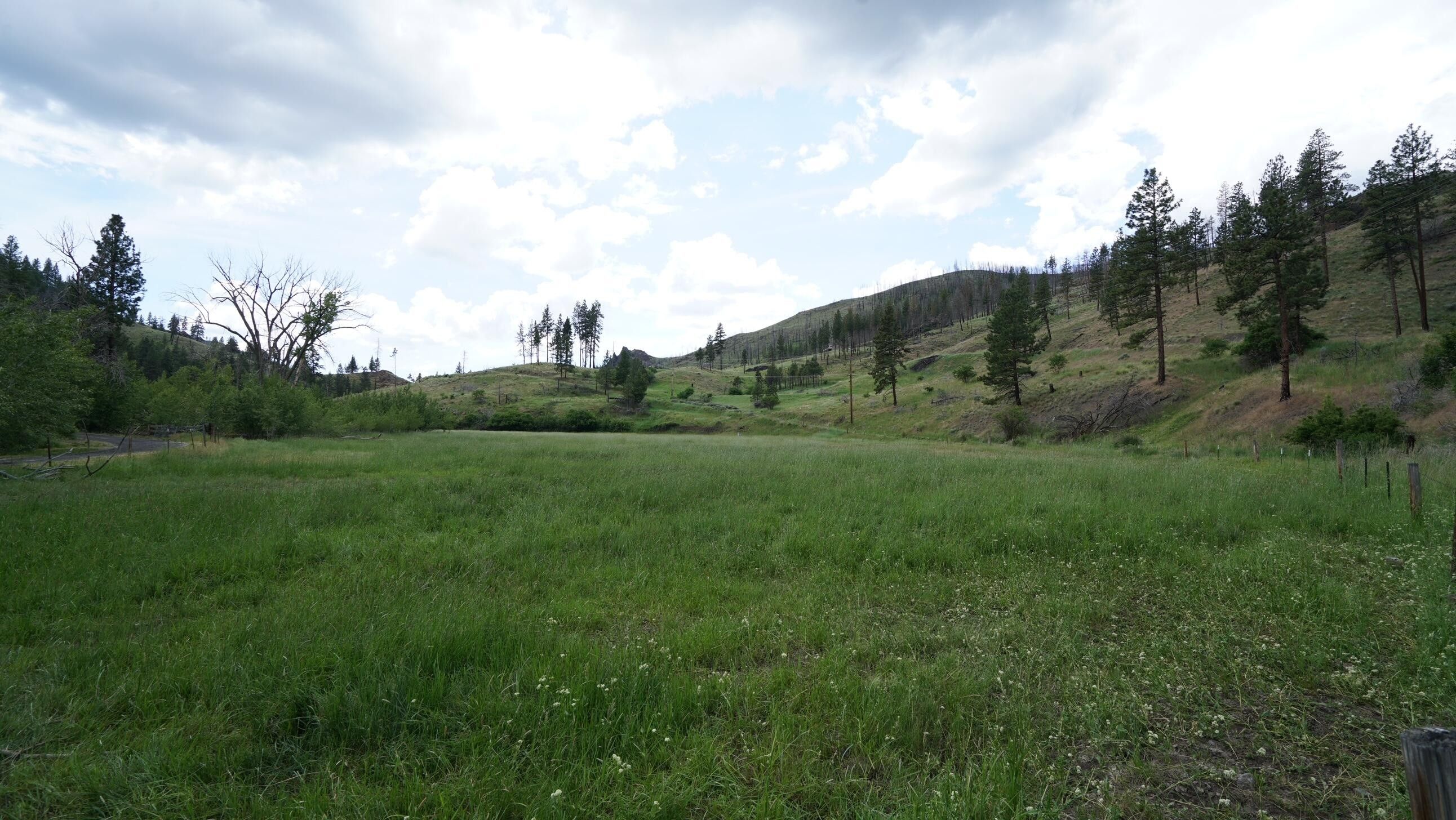 Canyon City, Grant County, OR Farms and Ranches for sale Property ID