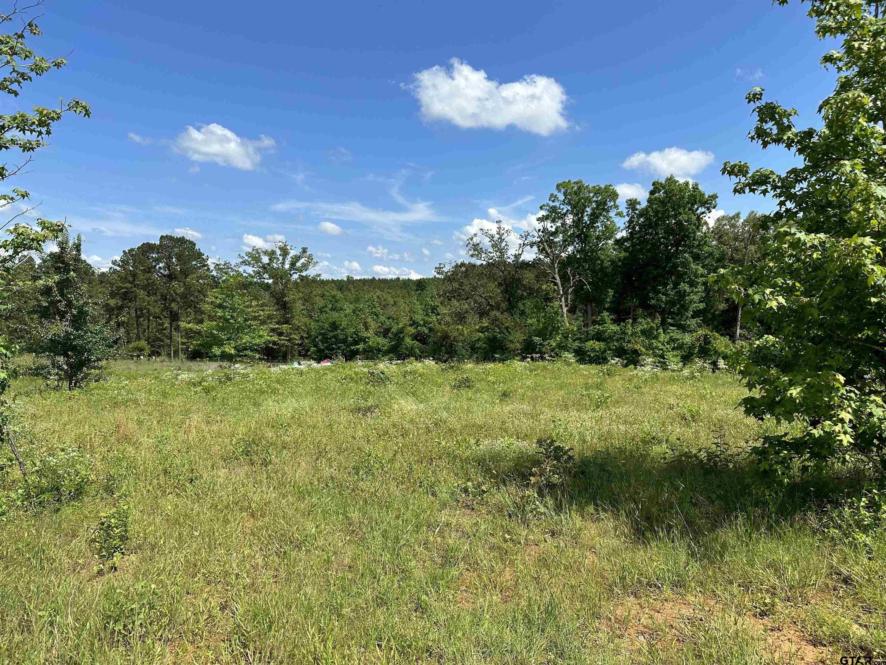 Troup, Cherokee County, TX Farms and Ranches for sale Property ID