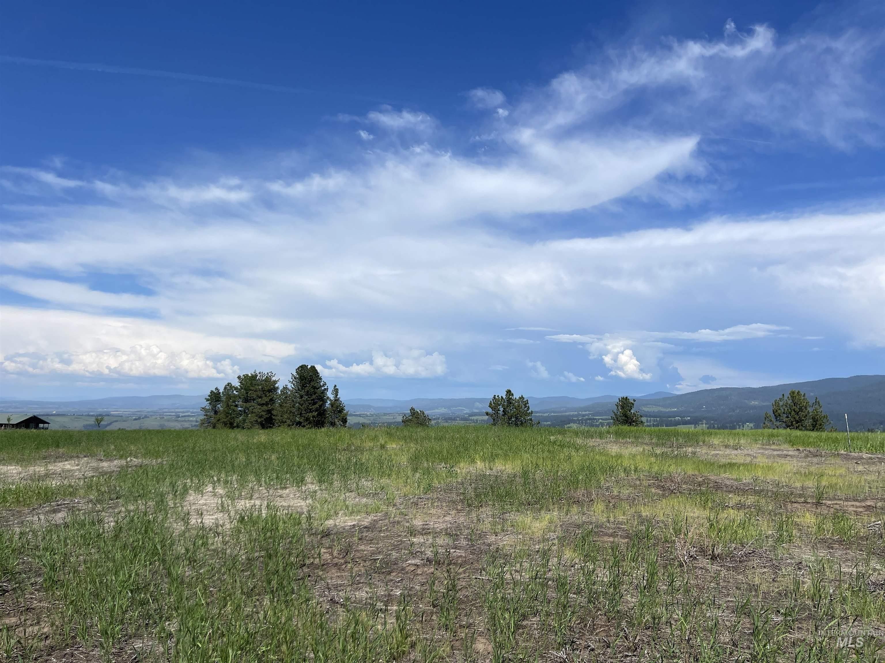 327 Dewey Saddle Rd, Grangeville, ID 83530 MLS 98882303 LandWatch