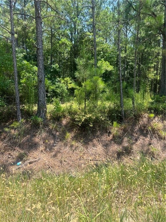 Opelika, Lee County, AL Undeveloped Land, Homesites for sale Property
