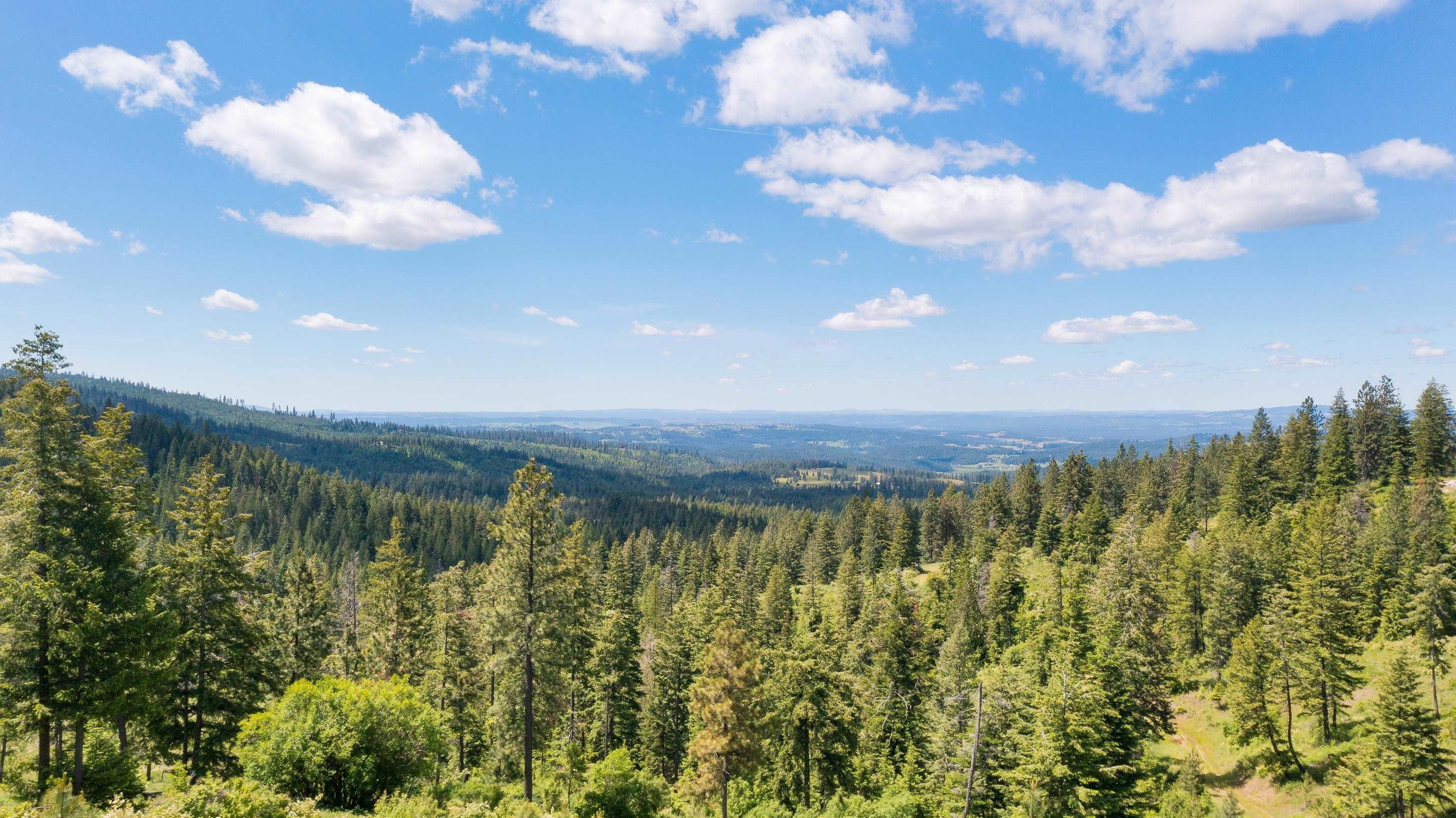 Chattaroy, Spokane County, WA Farms and Ranches for sale Property ID