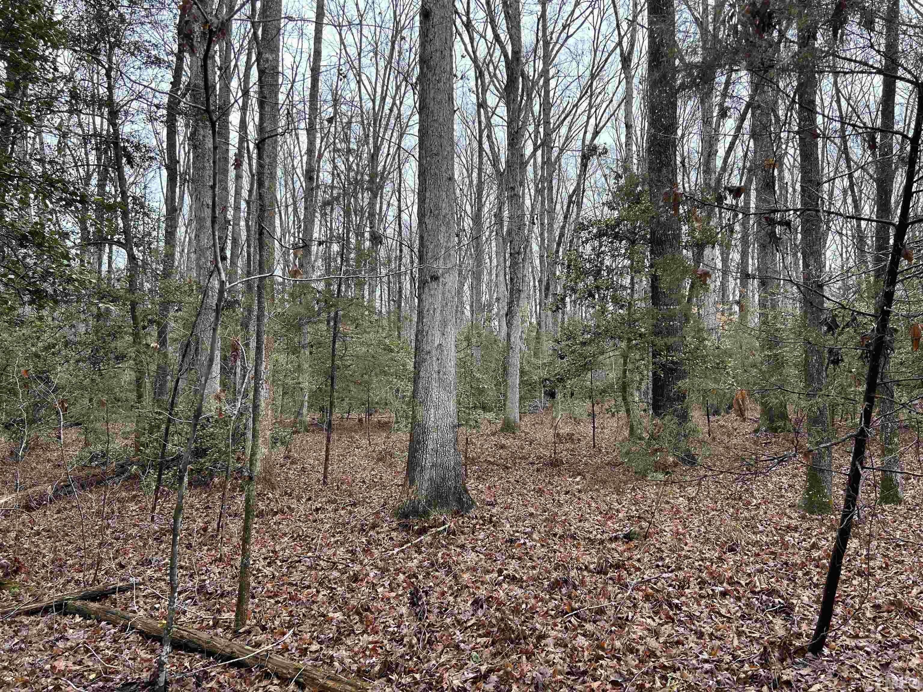 Hurdle Mills, Orange County, NC Farms and Ranches for sale Property ID