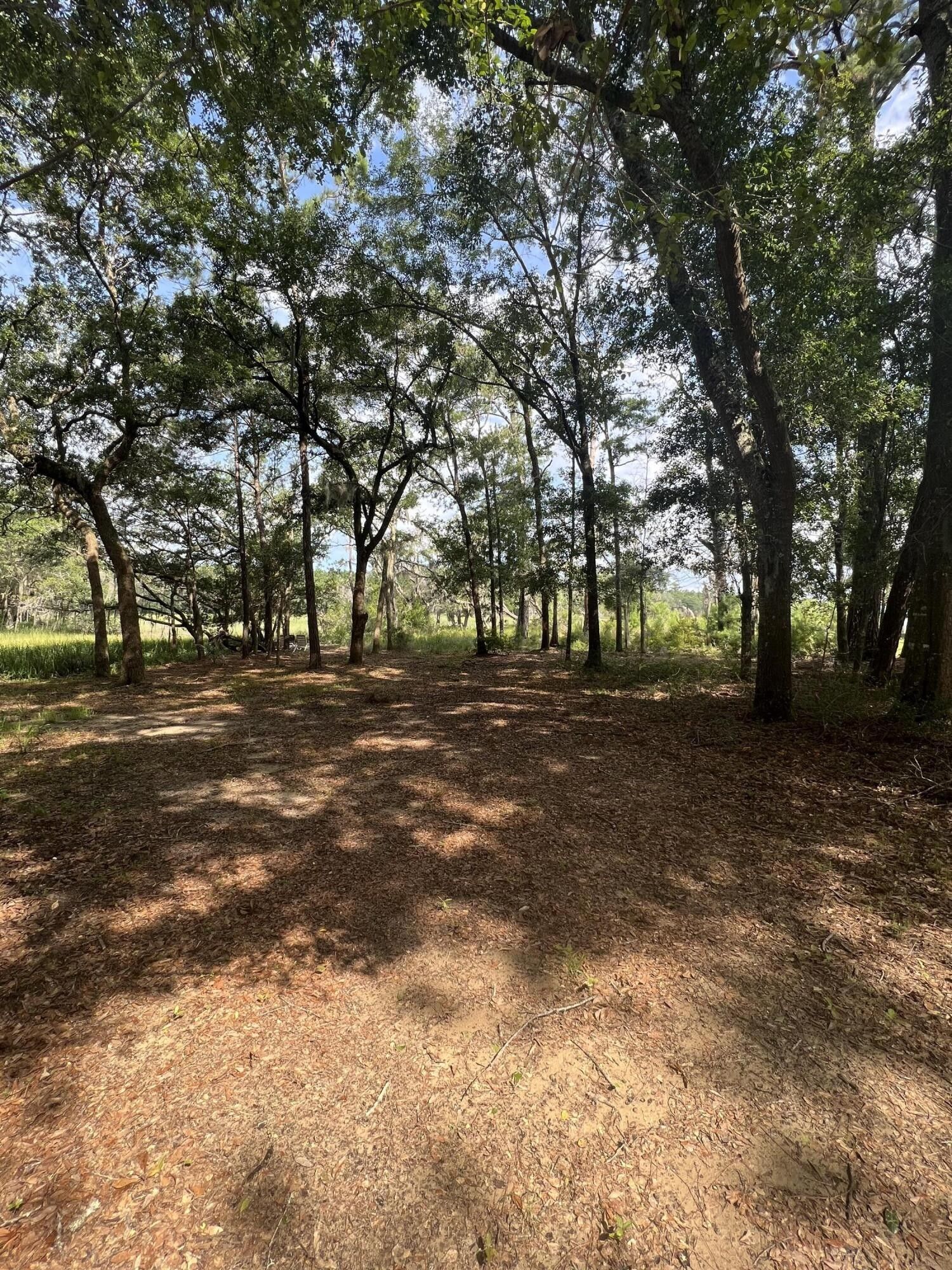 Edisto Island, Charleston County, SC Undeveloped Land, Lakefront