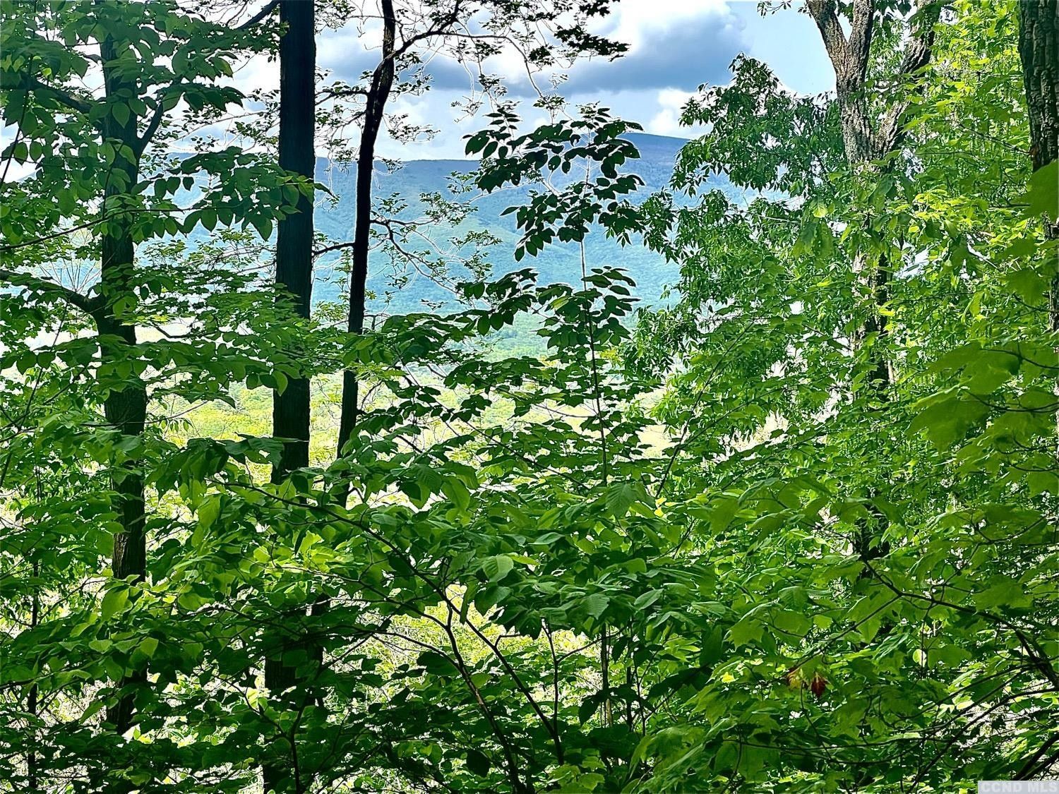 Cairo, Greene County, NY Undeveloped Land, Homesites for sale Property