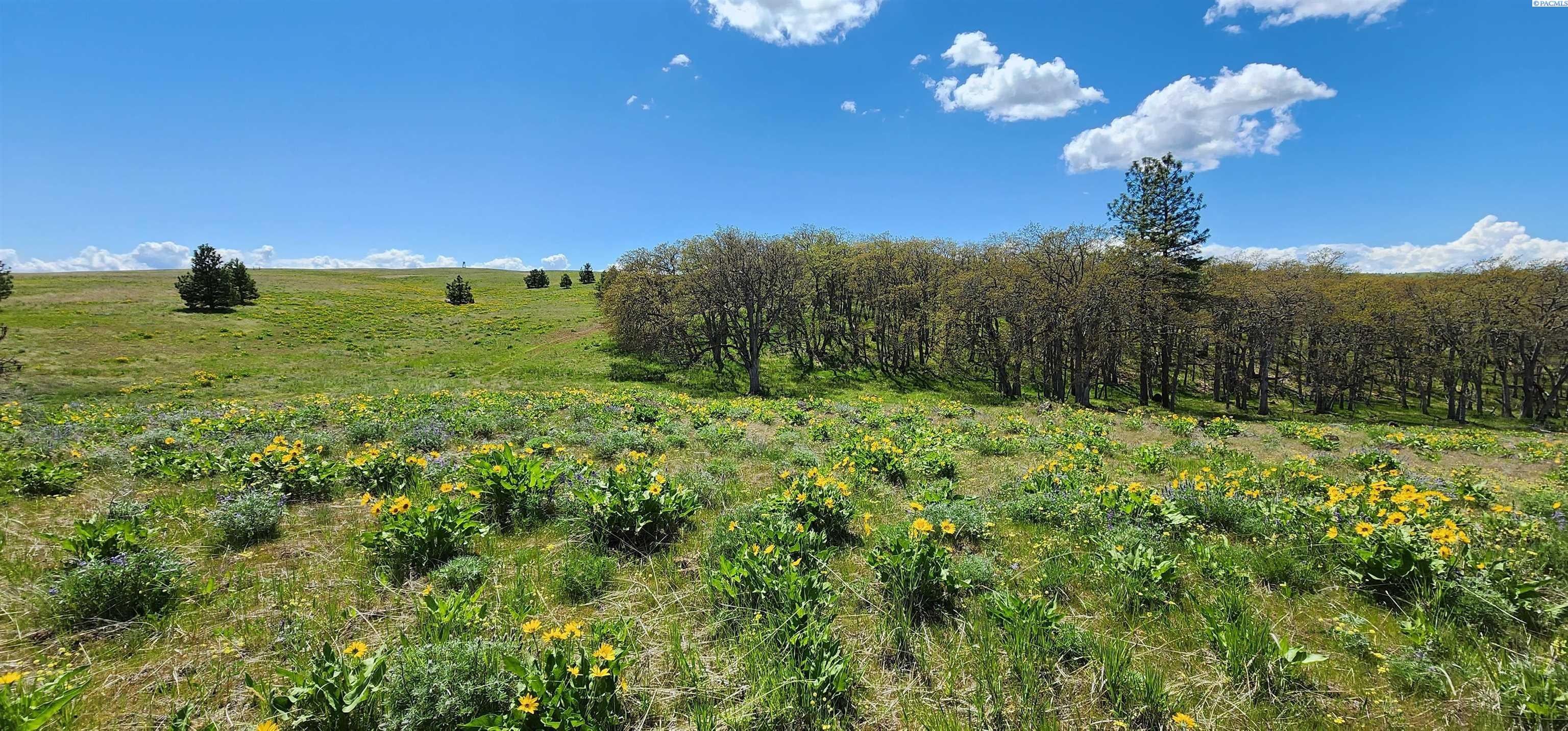 Lyle, Klickitat County, WA Farms and Ranches for sale Property ID